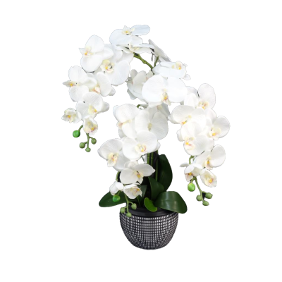 COMPOSITION ART FLORAL D'ORCHIDEE + CHARDON ARTIFICIELLES – ART FLORAL – Arteverdeco