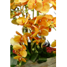 COMPOSITION ART FLORAL D'ORCHIDEE + CHARDON ARTIFICIELLES – ART FLORAL – Arteverdeco