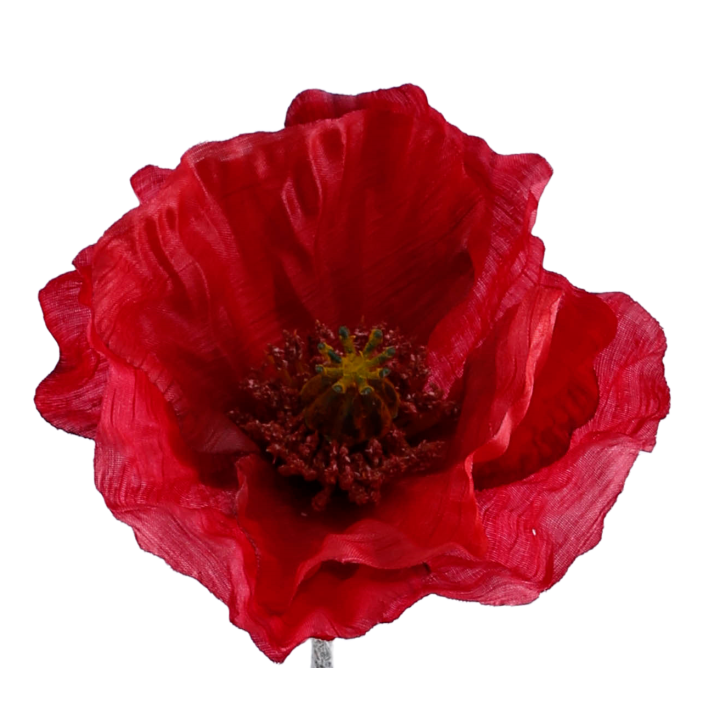 TIGE DE COQUELICOT, 2 FLEURS, 2 FEUILLES - HAUT. 67 CM – FLEURS – Arteverdeco