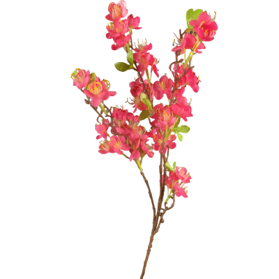 TIGE D HERBE DE PAMPAS - 3 BRANCHES - HAUT. 92 CM – FLEURS – Arteverdeco