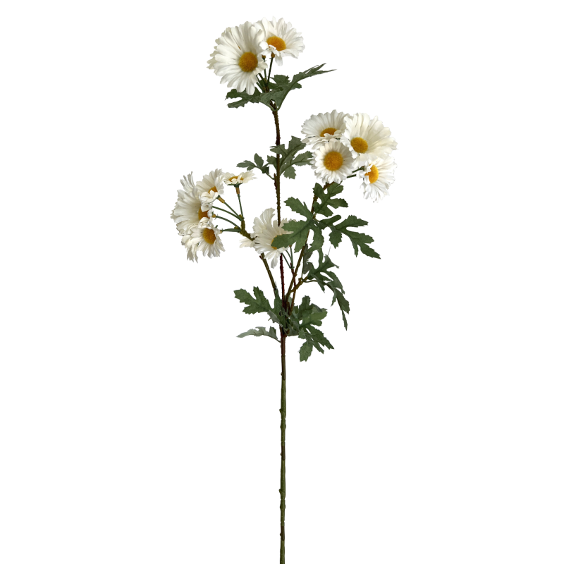 TIGE DE MARGUERITE - HAUT 74 CM – FLEURS – Arteverdeco