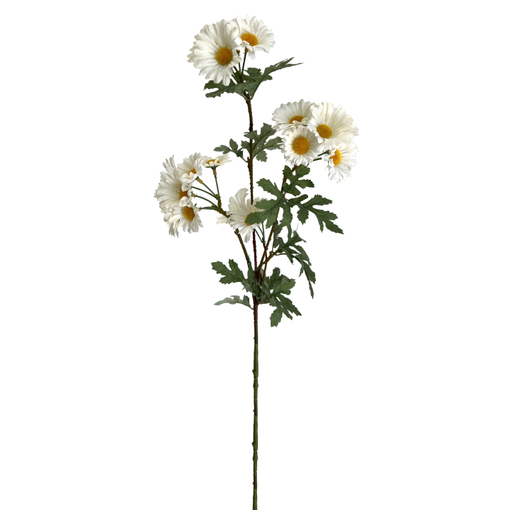 TIGE DE MARGUERITE - HAUT 74 CM – FLEURS – Arteverdeco