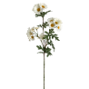 TIGE DE MARGUERITE - HAUT 74 CM – FLEURS – Arteverdeco