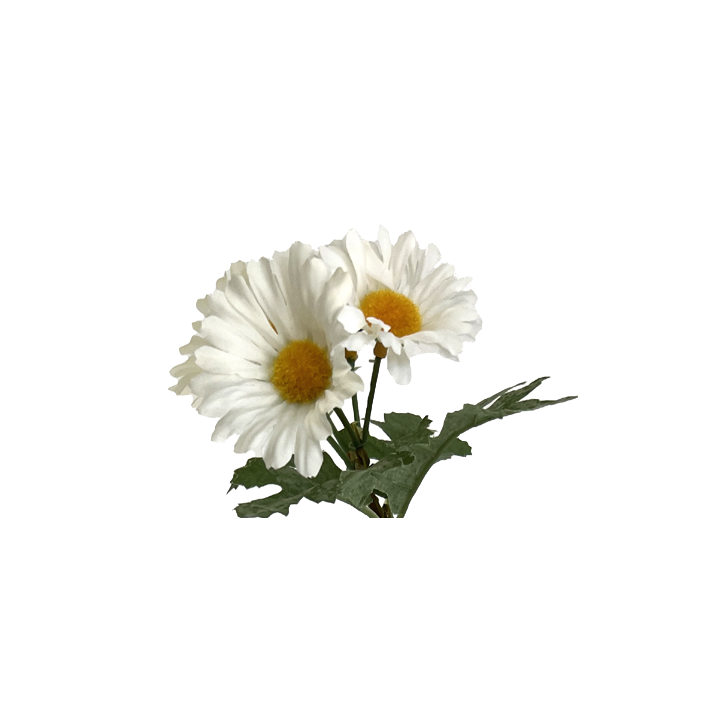 TIGE DE MARGUERITE - HAUT 74 CM – FLEURS – Arteverdeco