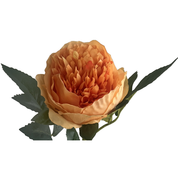 TIGE DE PIVOINE FERMEE ARTIFICIELLE - HAUT. 50 CM – FLEURS – Arteverdeco