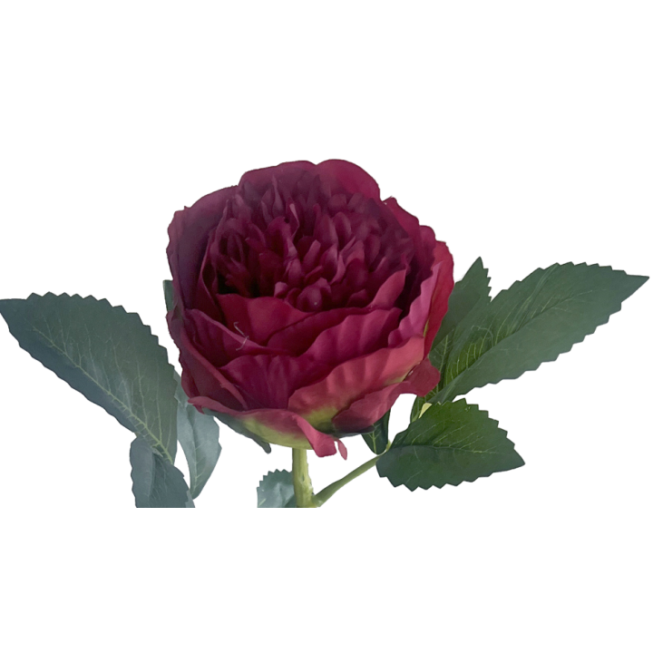 TIGE DE PIVOINE FERMEE ARTIFICIELLE - HAUT. 50 CM – FLEURS – Arteverdeco