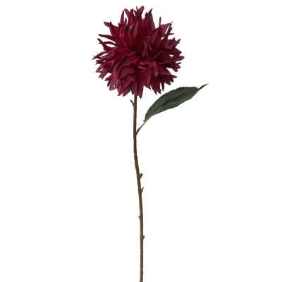 TIGE DE ROSE ANCIENNE, HAUT. 69 CM – FLEURS – Arteverdeco