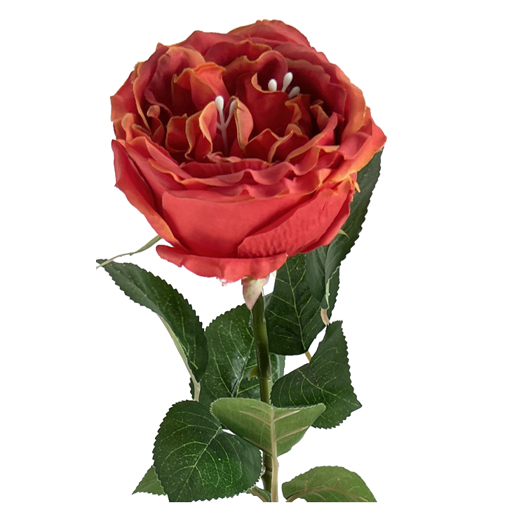 TIGE DE ROSE ANCIENNE ARTIFICIELLE, HAUT. 69 CM – FLEURS – Arteverdeco