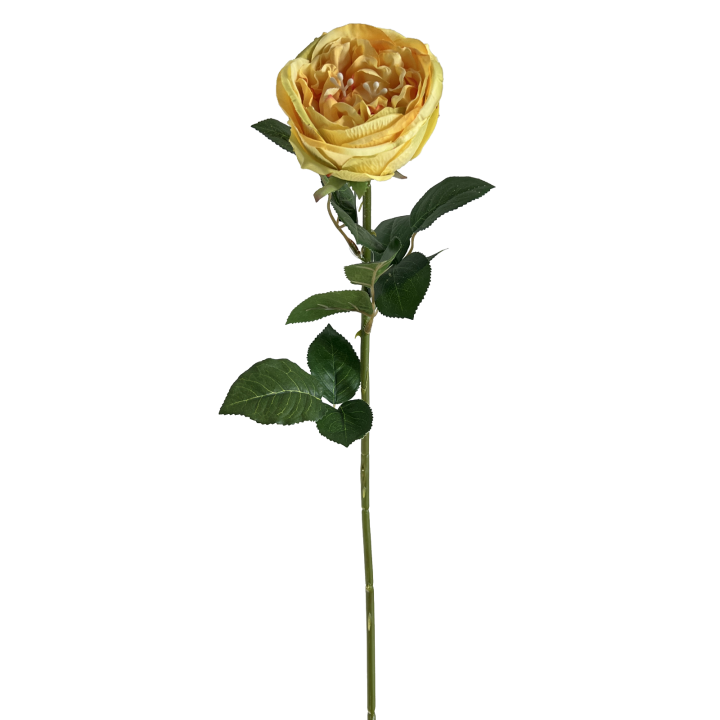 TIGE DE ROSE ANCIENNE ARTIFICIELLE, HAUT. 69 CM – FLEURS – Arteverdeco