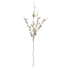 TIGE DE SOPHORA JAPONICA, HAUT. 104 CM – FLEURS – Arteverdeco