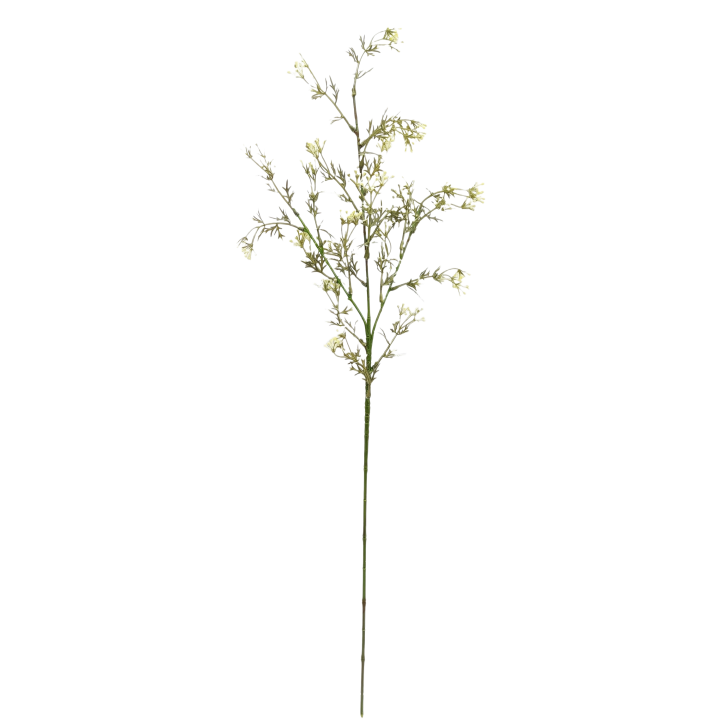 TIGE DE GYPSOPHILE, HAUT. 72 CM – FLEURS – Arteverdeco