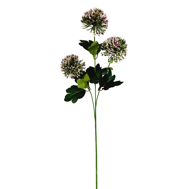 TIGE D ALLIUM - HAUT. 65 CM – FLEURS – Arteverdeco