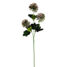 TIGE D ALLIUM - HAUT. 65 CM – FLEURS – Arteverdeco