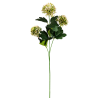 TIGE D'ALLIUM ARTIFICIELLE - HAUT. 65 CM – FLEURS – Arteverdeco