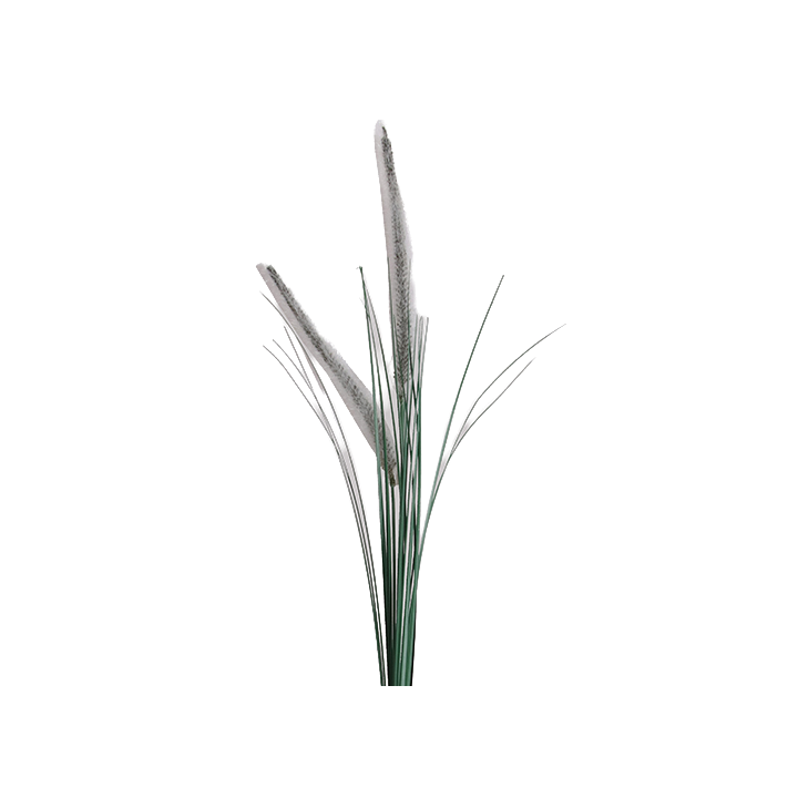 TIGE D'HERBE DE PAMPAS ARTIFICIELLE - HAUT. 88CM – FLEURS – Arteverdeco