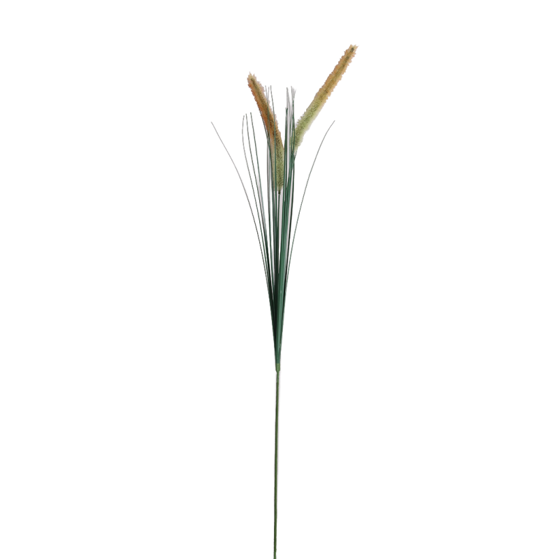 TIGE D HERBE PAMPA - HAUT. 88CM – FLEURS – Arteverdeco