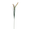 TIGE D HERBE PAMPA - HAUT. 88CM – FLEURS – Arteverdeco