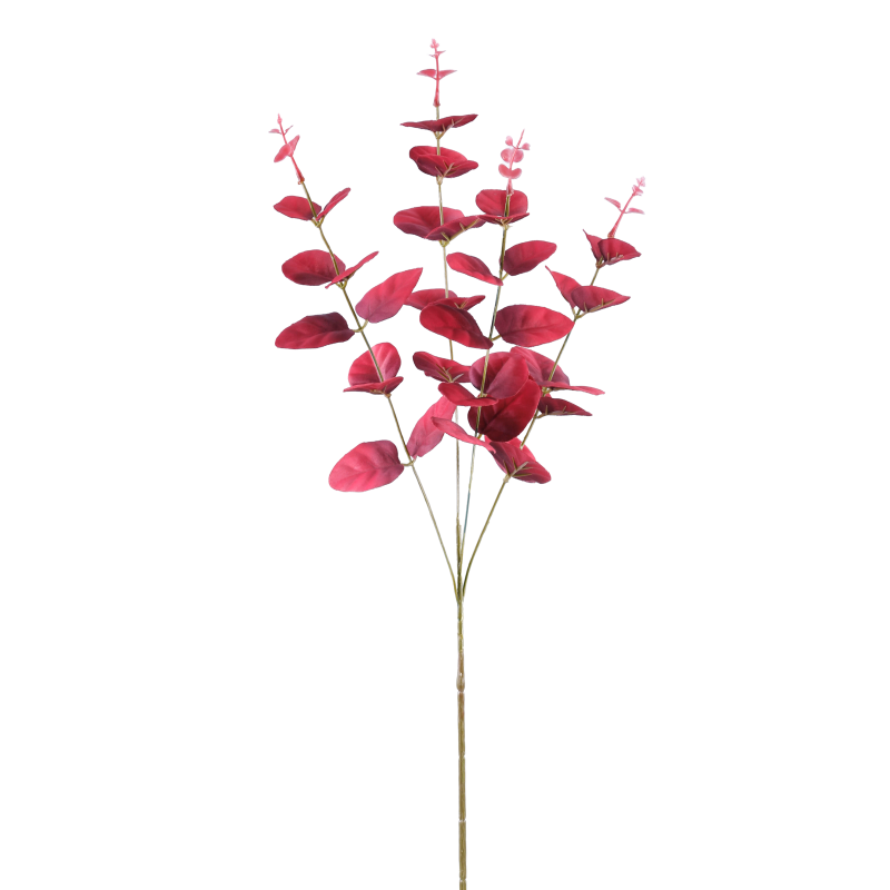 TIGE D EUCALYPTUS - 4 BRANCHES - HAUT. 65CM – FLEURS – Arteverdeco