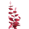 TIGE D EUCALYPTUS - 4 BRANCHES - HAUT. 65CM – FLEURS – Arteverdeco