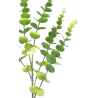 TIGE D'EUCALYPTUS ARTIFICIELLE - 5 BRANCHES - HAUT. 75 CM – FLEURS – Arteverdeco