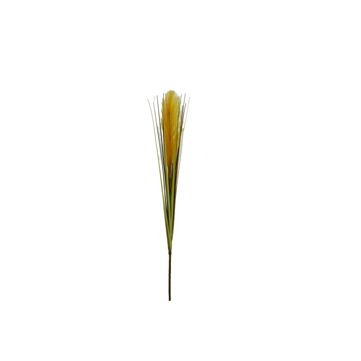 TIGE D HERBE DE PAMPAS - HAUT. 77 CM – FLEURS – Arteverdeco