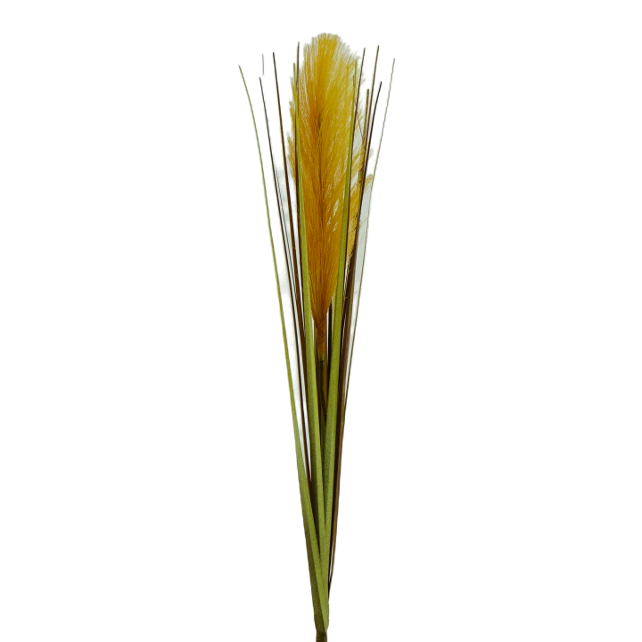 TIGE D HERBE DE PAMPAS - HAUT. 77 CM – FLEURS – Arteverdeco