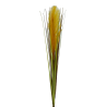 TIGE D HERBE DE PAMPAS - HAUT. 77 CM – FLEURS – Arteverdeco