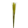 TIGE D'HERBE DE PAMPAS ARTIFICIELLE - HAUT. 77 CM – FLEURS – Arteverdeco