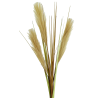 TIGE D HERBE DE PAMPAS - 3 BRANCHES - HAUT. 92 CM – FLEURS – Arteverdeco