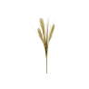 TIGE D HERBE DE PAMPAS - 3 BRANCHES - HAUT. 92 CM – FLEURS – Arteverdeco