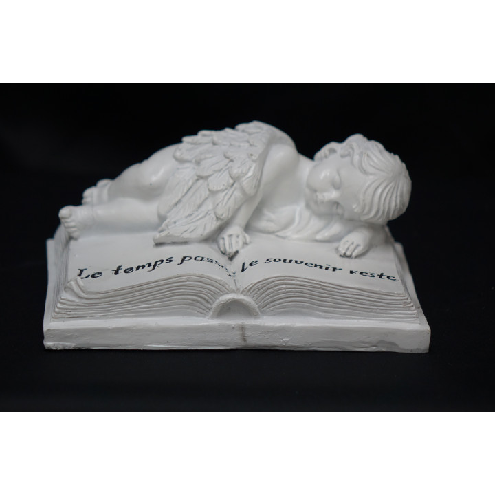 LIVRE AVEC ANGE ALLONGE EN RESINE AVEC UNE GRAVURE EN NOIR - OBJET DE DECORATION FUNERAIRE - HAUTEUR 7 CM – Catalogue Funéraires 2024 – Arteverdeco