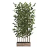 FICUS ARTIFICIEL AVEC 7 TRONCS NATUREL EN POT RECTANGULAIRE - HAUT. 150 CM – ARBRES – Arteverdeco