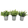 PLANTES VERTES ARTIFICIELLES EN POT ZINC, HAUT. 18 à 21 CM – DECORATIONS – Arteverdeco